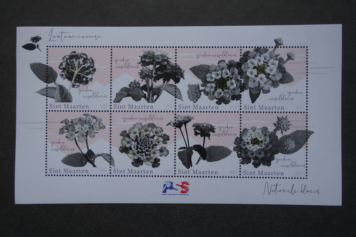 外国切手: セント・マーチン島切手 「(セント・マーチン島の動植物)ランタナ」8種m/s 未使用拍卖