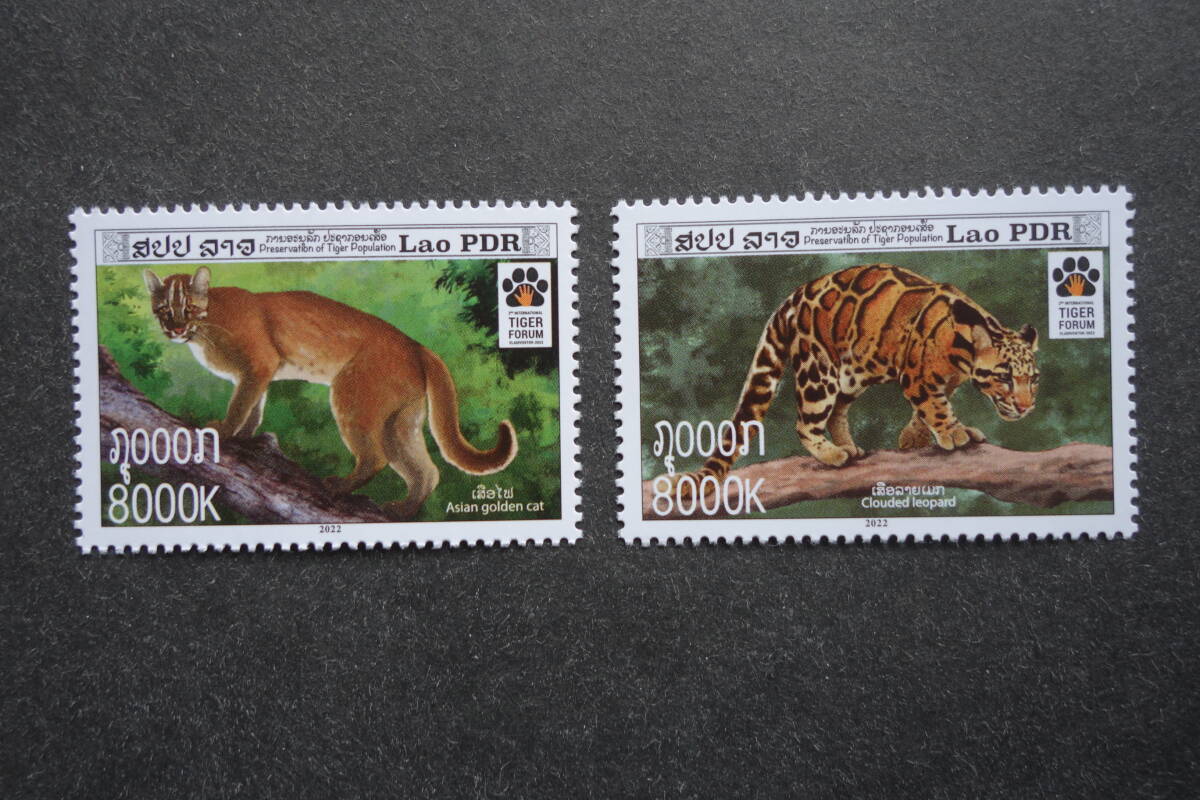 外国切手: ラオス切手 「第2回国際虎フォーラム 」(印面:アジアゴールデンキャットとウンピョウ) 2種完 未使用拍卖