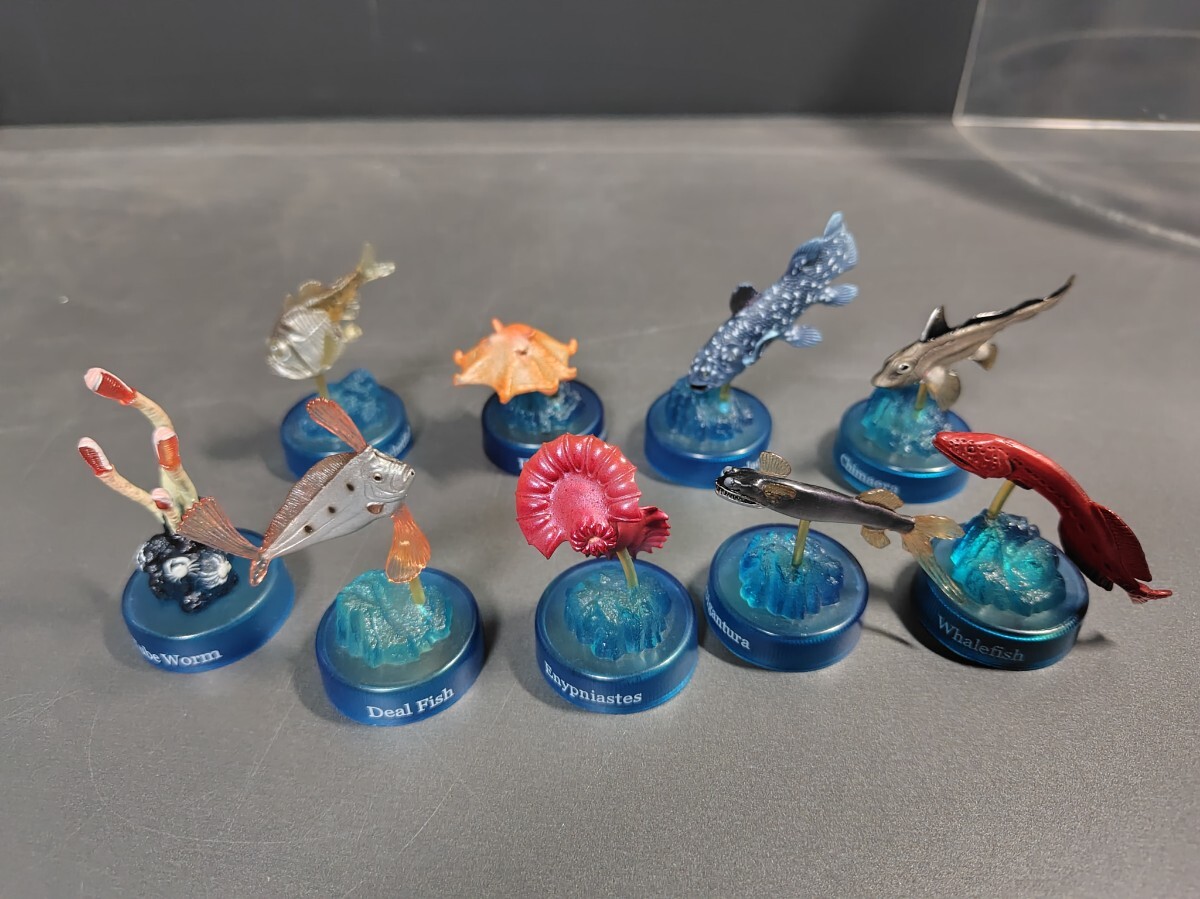 ダイドーMIU 深海生物 ボトルキャップ第2弾9種、マッコウクジラ 深海探査艇3種拍卖