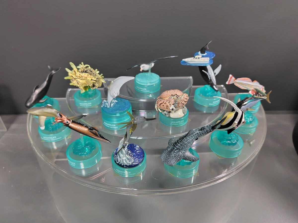 グリコ黒潮コメッコボトルキャップ アクアテイルズ第2弾全13種。シークレット込 海洋堂拍卖