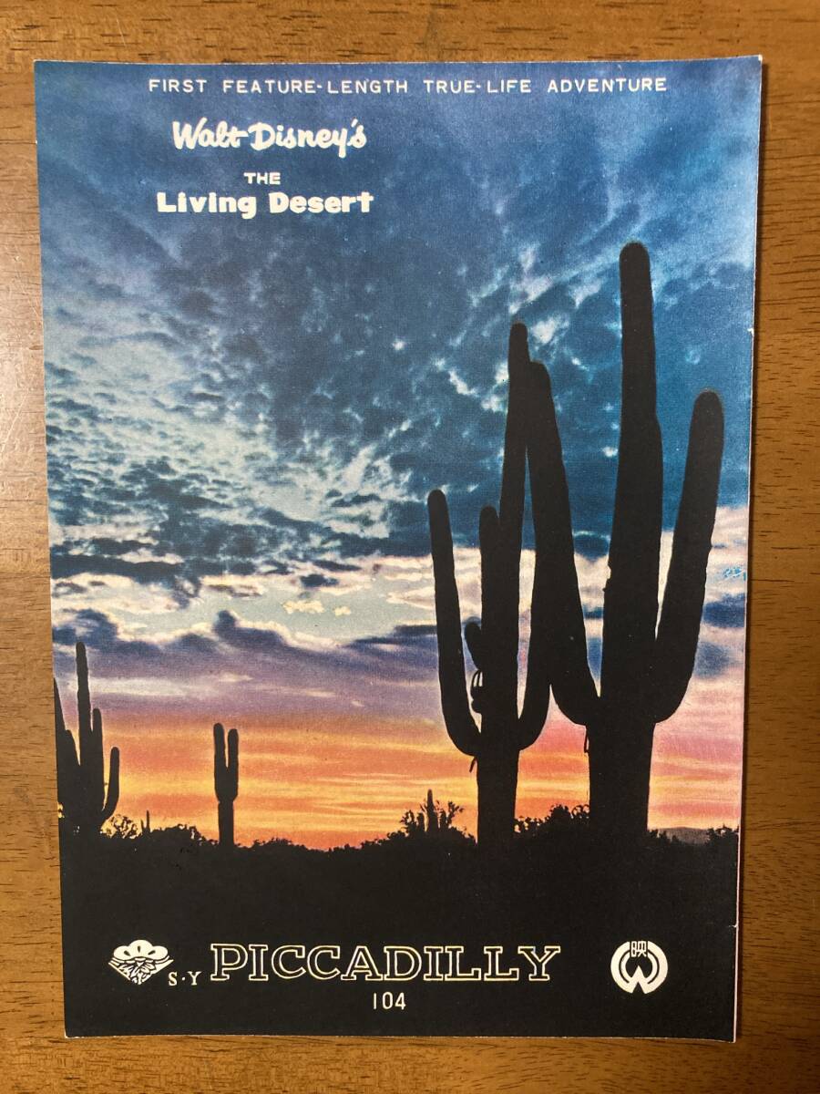 【極美】 古い映画 パンフ パンフレット ★ 砂漠は生きている ★ ウォルト・ディズニー/自然の冒険 ★ PICCADILLY ★ 1955年 ★ 初公開拍卖