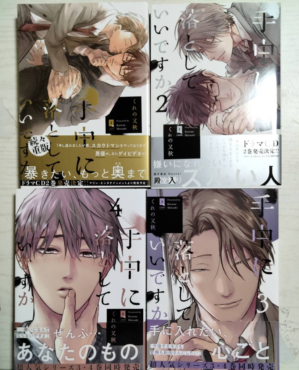 くれの又秋/ 手中に落としていいですか1~4巻 4巻特装版 <送料2個口240円~>拍卖