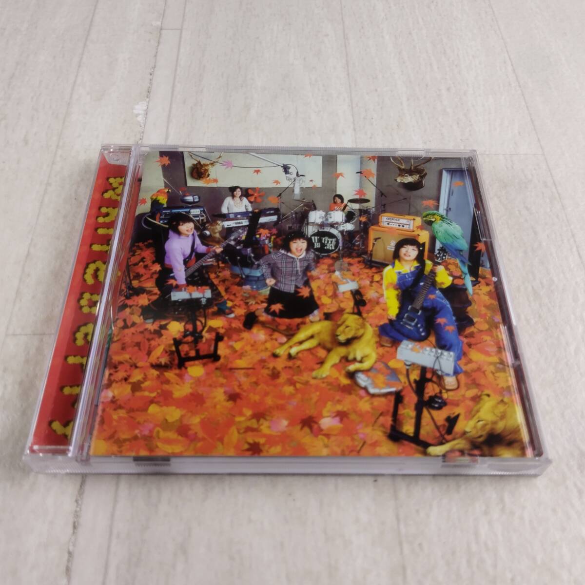 1JC11 CD Whiteberry (初) 帯付き拍卖