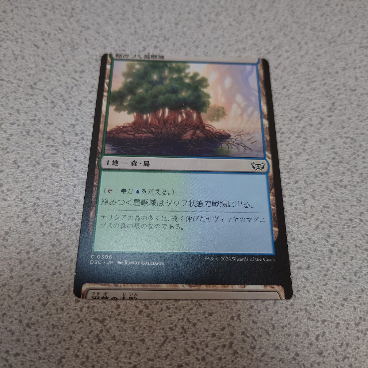 MTG DSK 絡みつく島嶼域/溺墓の寺院 日本語 一枚 エラー ダスクモーン:戦慄の館 統率者デッキ DSC 即決拍卖