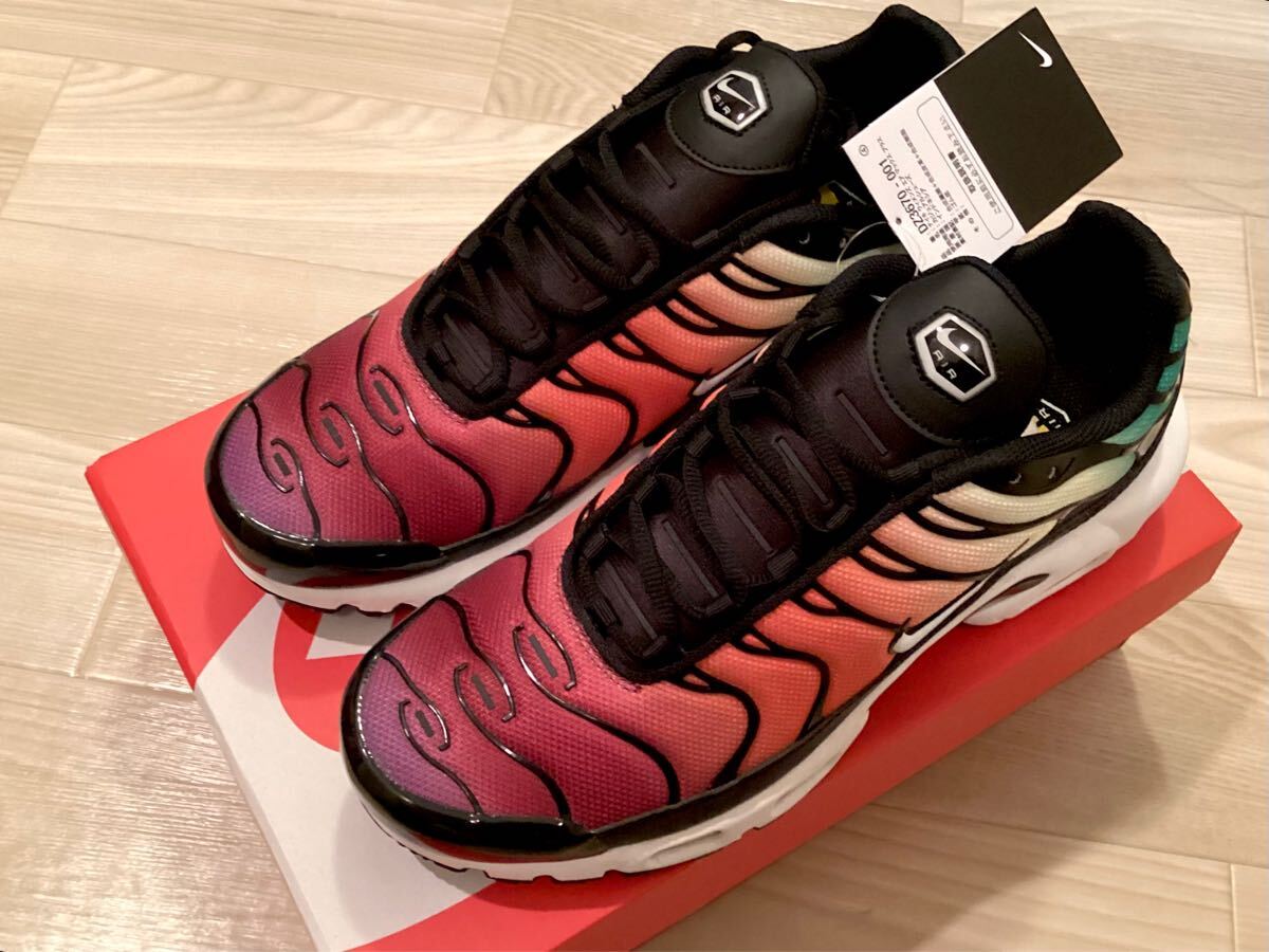 (未使用ストック品 超希少ラスト一足29cm・超希少・国内ナイキ正規品) ナイキ Nike Air Max PLUS 29cm拍卖