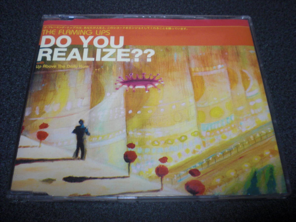 The Flaming Lips 『Do You Realize??』 CD 輸入盤拍卖