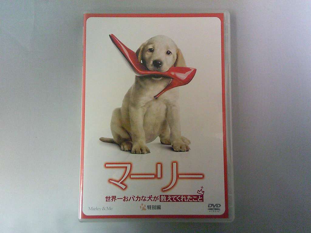 UD862★DVD マーリー 世界一おバカな犬が教えてくれたこと 特別編 ケース・ジャケット付き 起動確認済み ディスク研磨・クリーニング済み拍卖