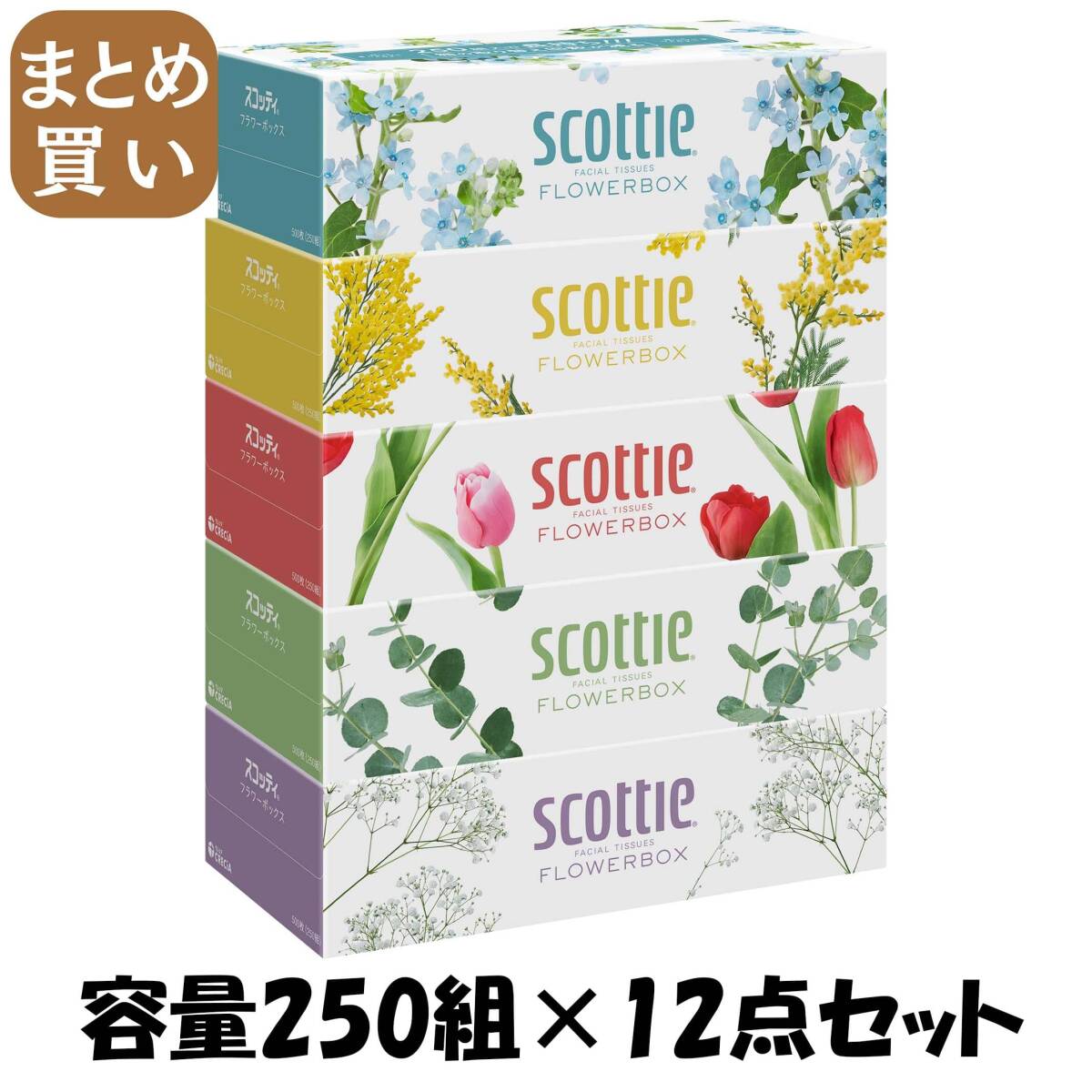 【まとめ買い】SCT ティシュー フラワーボックス 250組 5箱パック 容量250クミ×12点セット日本製紙クレシア ティッシュ拍卖