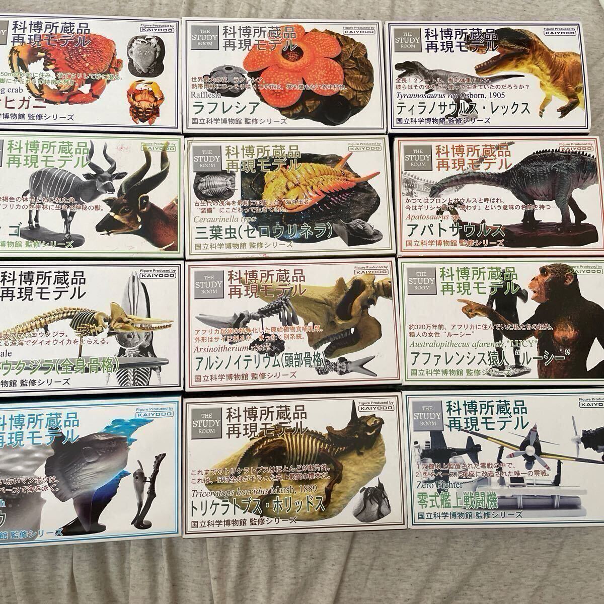 海洋堂 国立科学博物館監修シリーズ科博所蔵品再現モデル 12種コンプリート拍卖