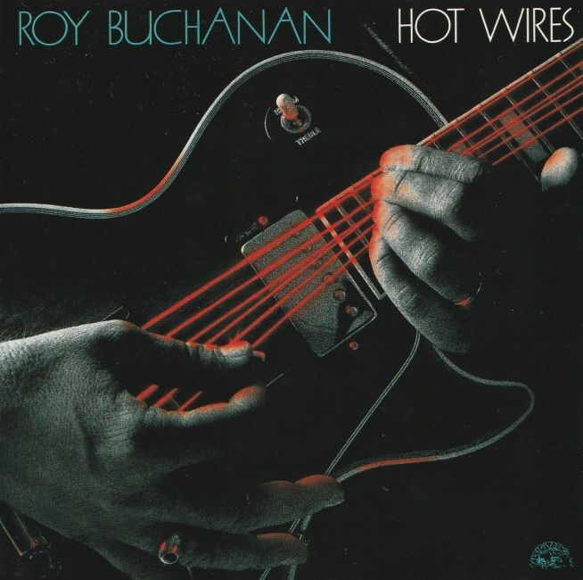 Roy Buchanan【国内盤 Blues-Rock CD】Hot Wires (King/Alligator KICP2906) 1996年 / ロイ・ブキャナン拍卖