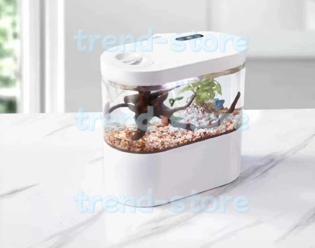 LEDライトフィルターポンプ付き水槽セットアクアリウム コードレス 水族館 オーナメント 自由研究 玄関 LEDランプ 水槽セット拍卖