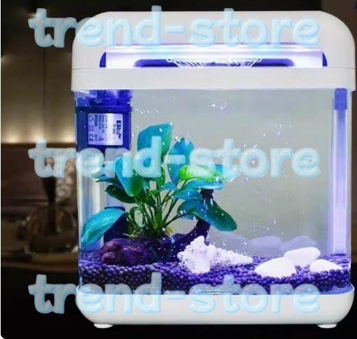LEDミニ水槽 ガラス水槽 小型水槽 ルームグラス ガラス 照明 オールインワン型 観賞魚用 水中ポンプ付き拍卖