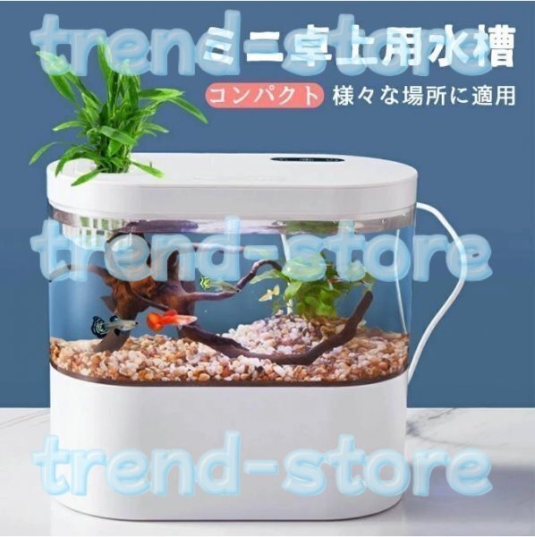 LEDライトフィルターポンプ付き水槽セットアクアリウム コードレス 水族館 オーナメント 自由研究 玄関 LEDランプ 水槽セット拍卖