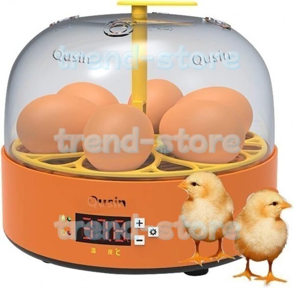 自動孵卵器 孵卵機 インキュベーター 恒温器本体 自動転卵式 孵化器6個入卵 家庭用 卵インキュベーター 小型 温度制御 照卵器付き 簡単操作拍卖