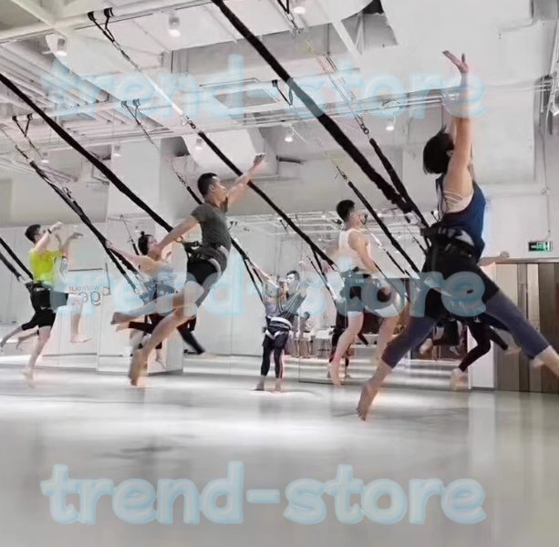 負荷レベル70KG バンジーエクササイズ コード ベルトバンジー ダンス ロープ 重力バンジー エクササイズ拍卖