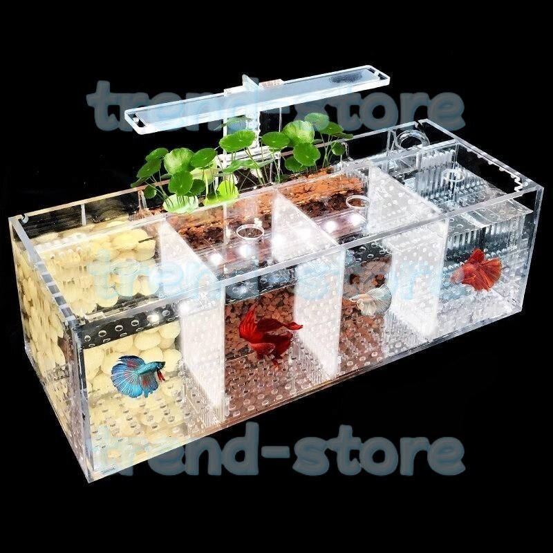 ベタ水槽 グッピー 繁殖隔離ボックス アクリル水槽 透明 小魚 水族館 デスク装飾拍卖