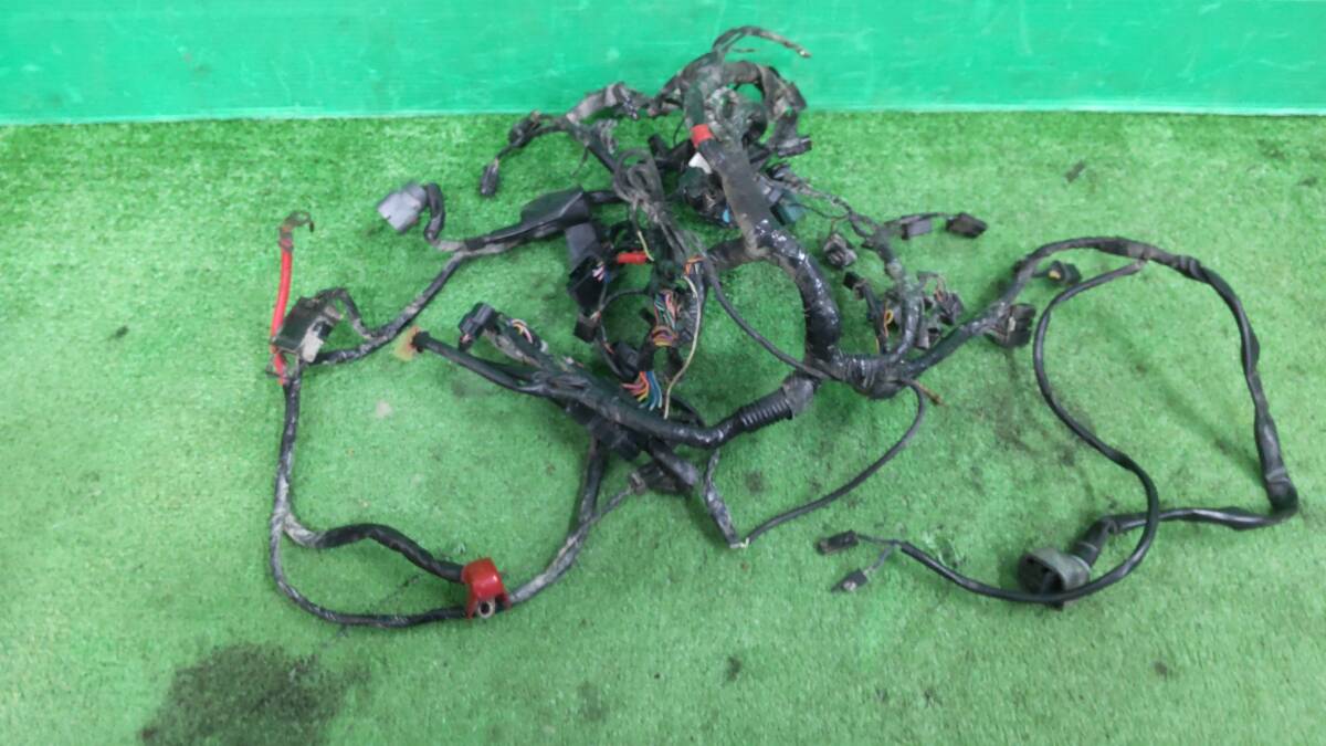 トライアンフ ストリート トリプル R メイン ハーネス拍卖