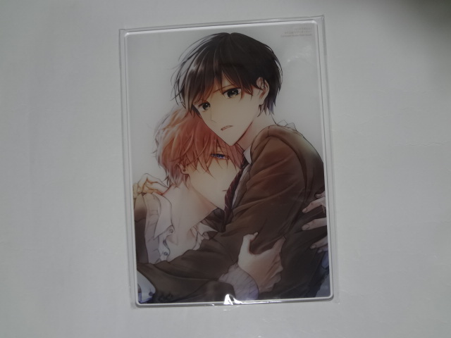 新品 ★ ピットスポルム 三上志乃 A5アクリルボード ★ コミコミ ポイント交換拍卖