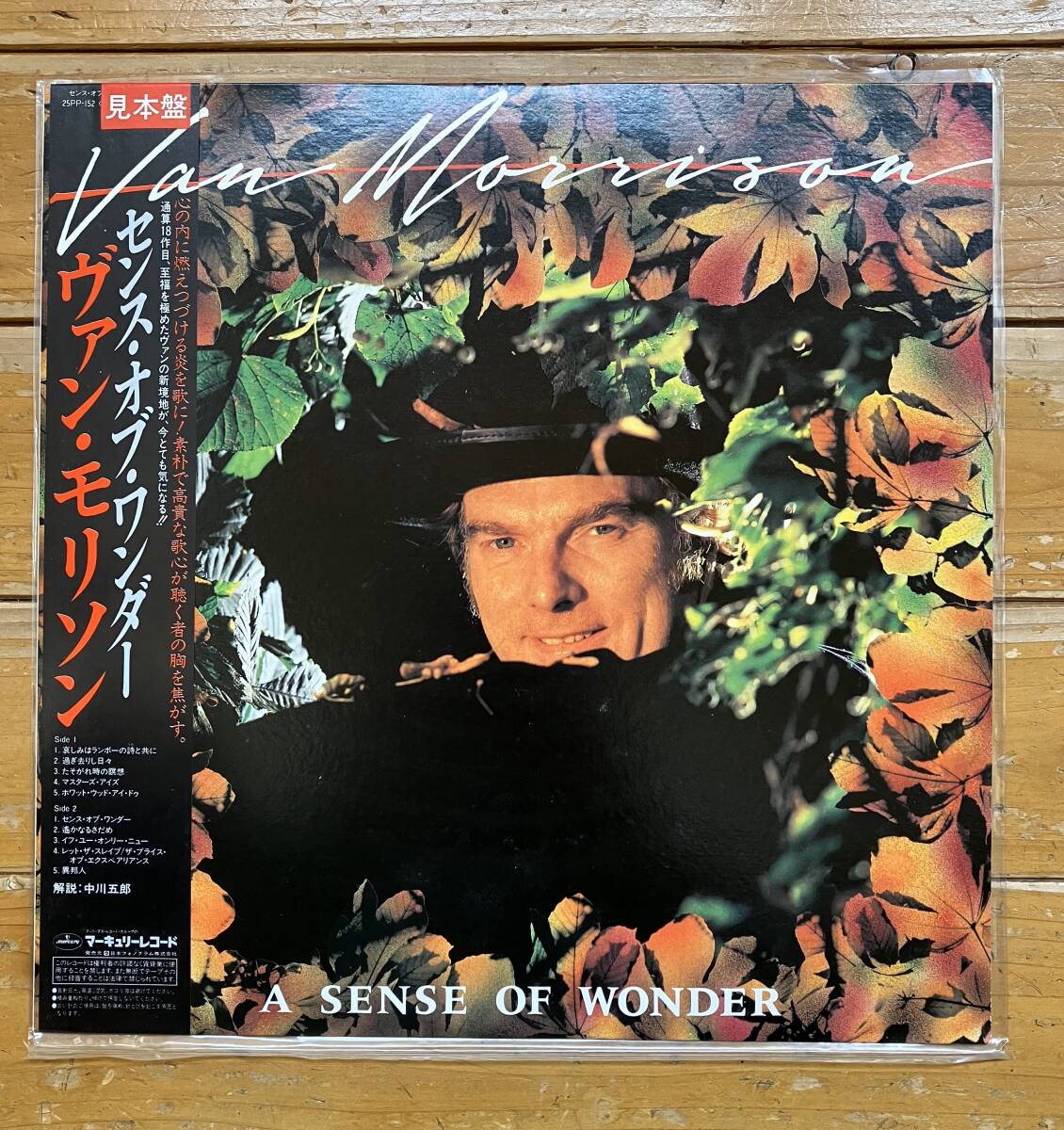 VAN MORRISON ヴァン・モリソン★A SENSE OF WONDER センス・オブ・ワンダー 帯付き国内【見本盤】LP!拍卖