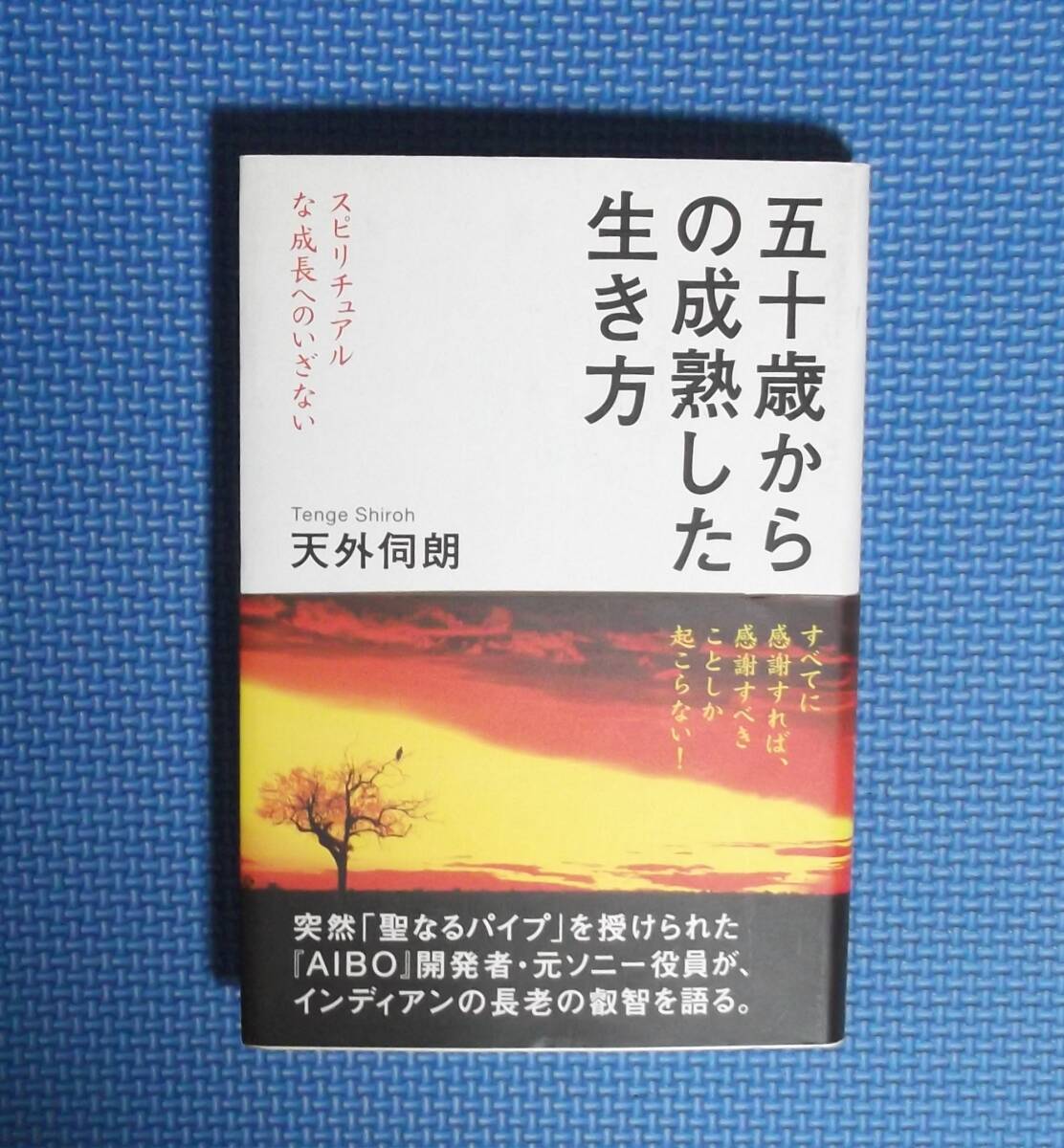 ★五十歳からの成熟した生き方・スピリチュアルな成長へのいざない ★天外伺朗★海竜社★定価1429円+税★拍卖