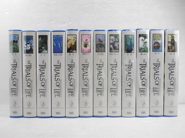 ♪VHS デイビッド・アッテンボロー卿 TRIALS OF LIFE 12巻セット♪一部未開封 経年保管 ジャンク品拍卖