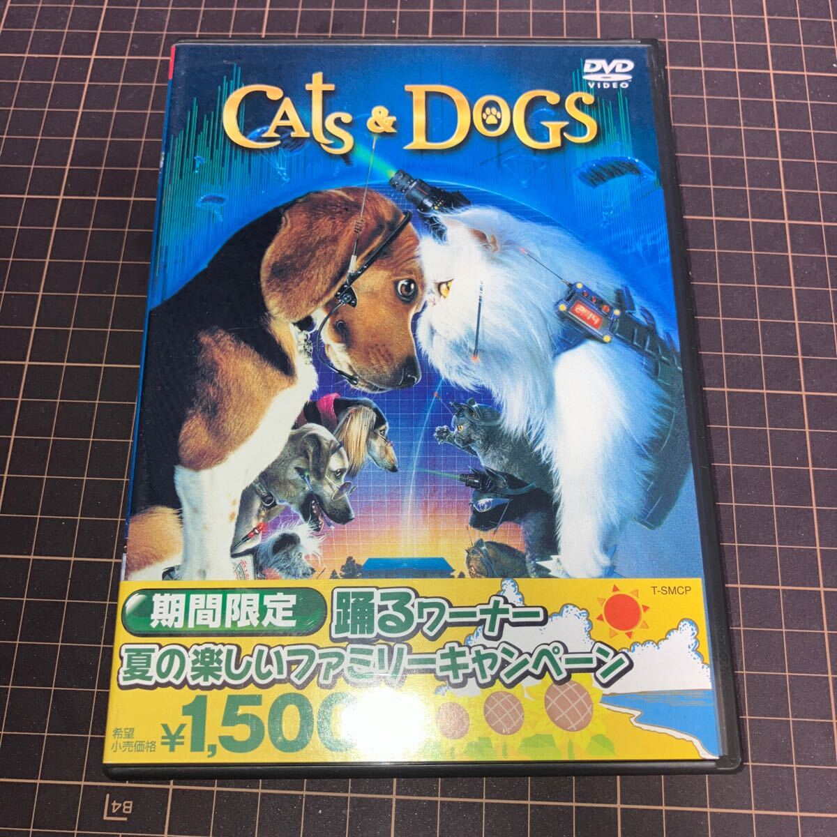 キャッツ & ドッグス DVD拍卖