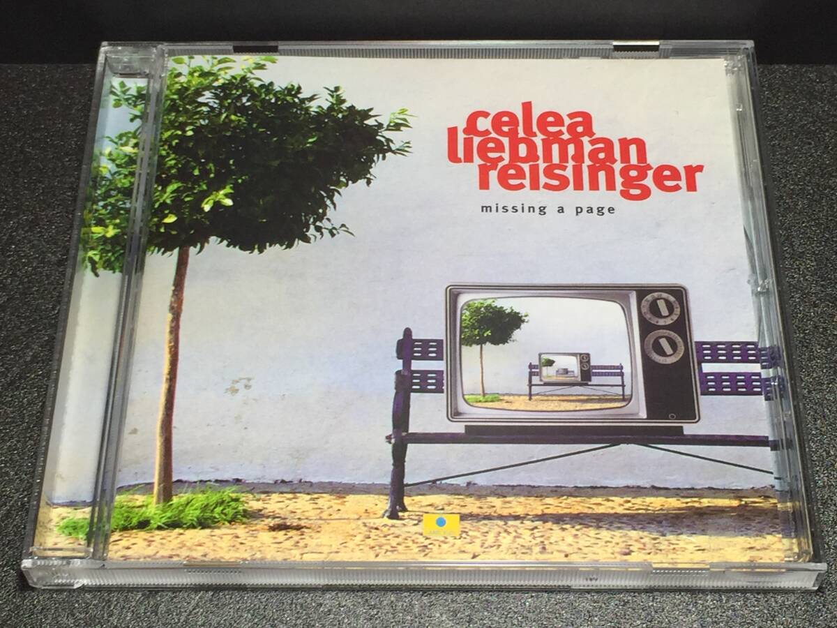 01/2/ celea liebman reisinger / Missing a Page拍卖