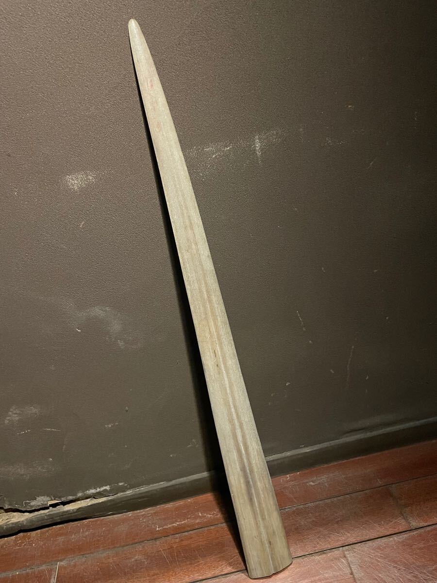 ノコギリザメ ノコギリエイ 鋸 ソーフィッシュ 吻 剥製 ノコギリサメ 鋸鮫 角拍卖