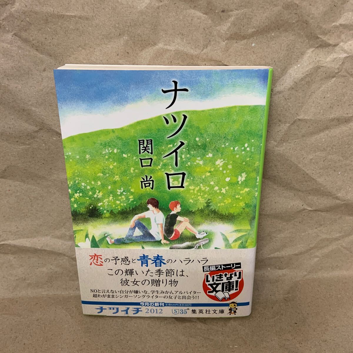 ナツイロ (集英社文庫 せ4-4) 関口尚/著拍卖