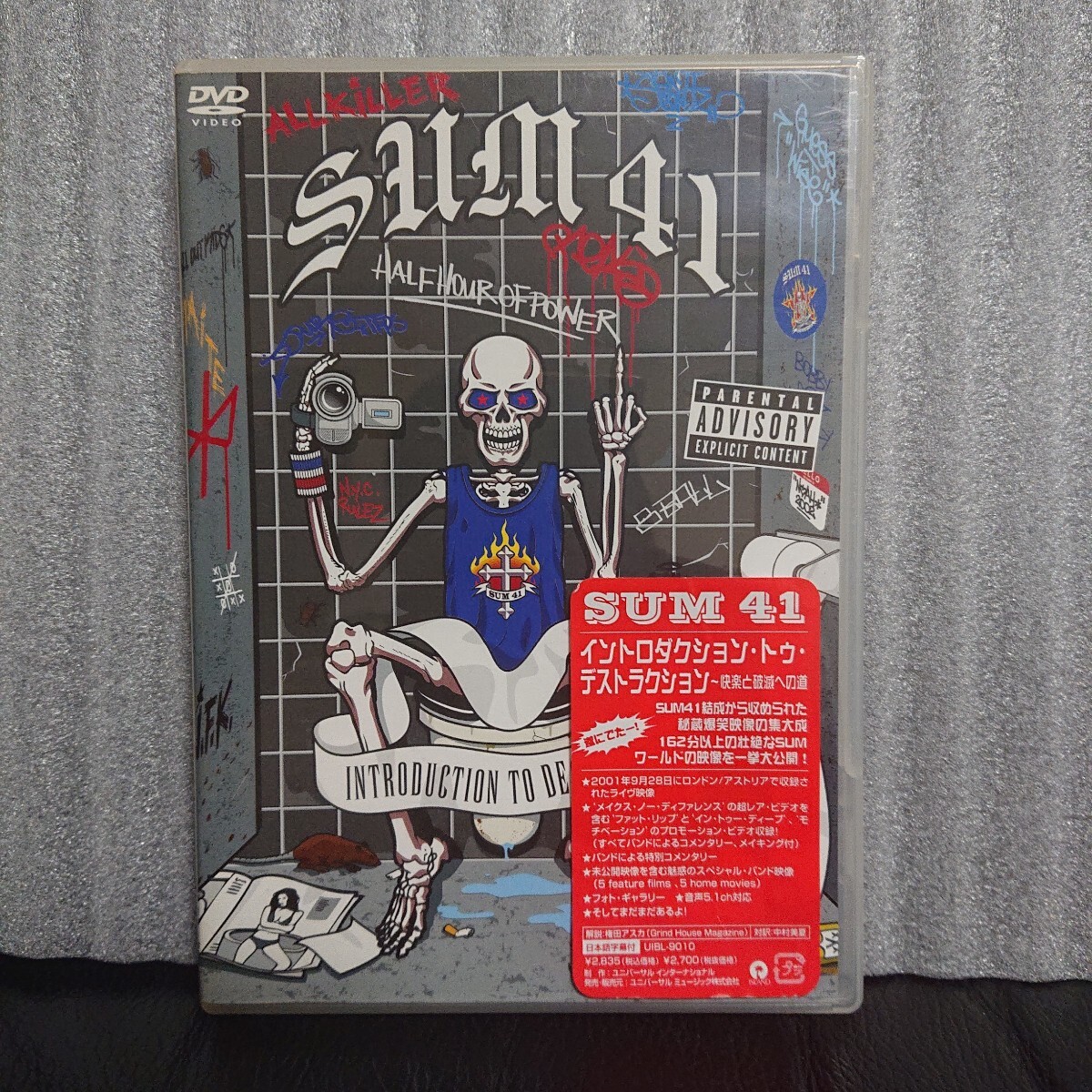 sum41 INTRODUCTION TO DESTRUCTION DVD 美中古 SUM41 サム パンク サマソニ ゴジラ スパイダー アヴリル メタル メロコア カナダ拍卖