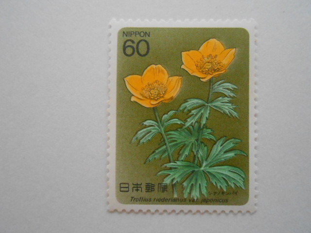 高山植物2集 シナノキンバイ 未使用60円切手(6103)拍卖