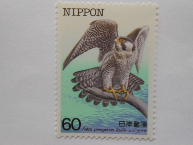 特殊鳥類第5集 シマハヤブサ 未使用60円切手(6010)拍卖