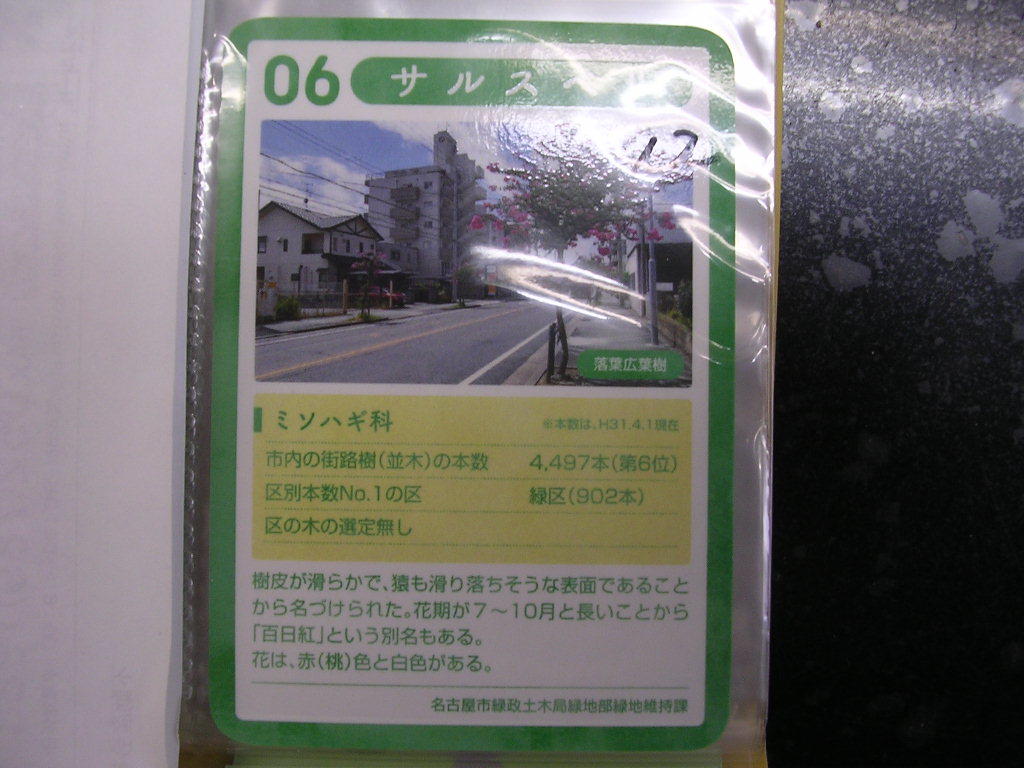 ■なごやの街路樹コレクションカード■ サルスベリ ■ダム・マンホール(#12拍卖