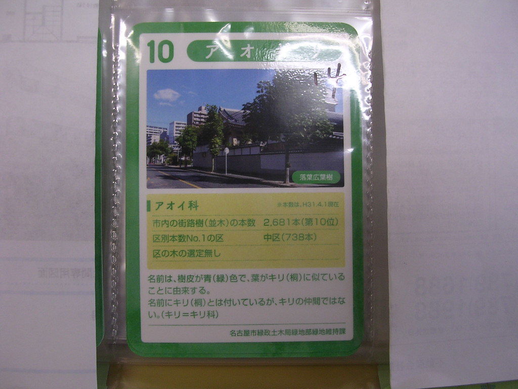 <複■なごやの街路樹コレクションカード■ アオギリ ■ダム・マンホール(#14拍卖