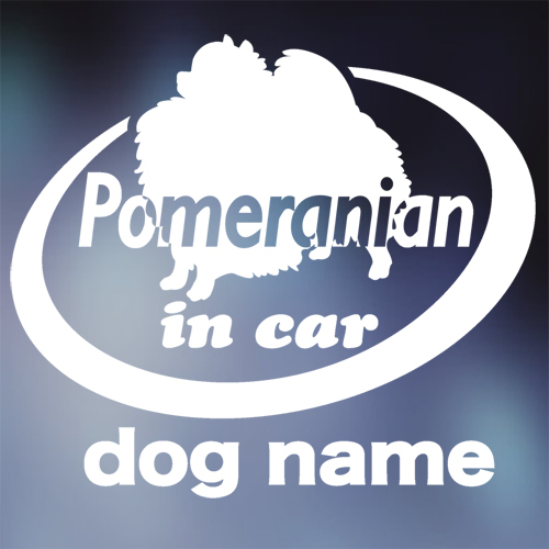 ポメラニアン in car ステッカー。犬ステッカー。拍卖