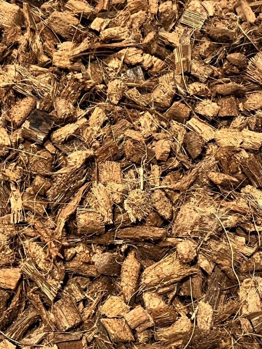 ④ ヤシガラ ハスクチップ 2L 爬虫類 昆虫 などに拍卖