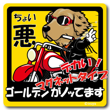 新品★ちょい悪マグネット★ゴールデンレトリーバー★車やスマホに♪★犬雑貨★送料210円拍卖