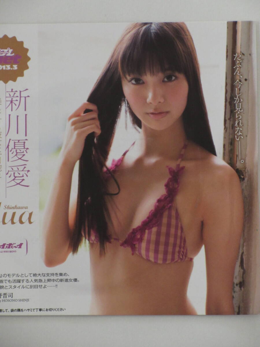 ◆即決◆ 新川優愛 付録DVD ◆同梱可◆拍卖