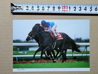 競馬 絵はがき JRA 2000年有馬記念出走馬ポストカード アドマイヤボス (セントライト記念 後藤浩輝拍卖