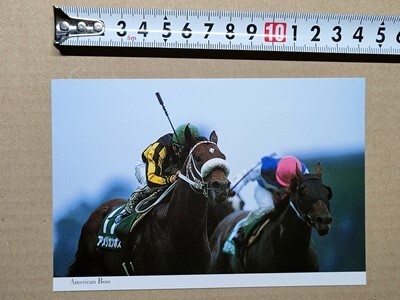 競馬 絵はがき JRA 2000年有馬記念出走馬ポストカード アメリカンボス (エプソムC 内ダイワテキサス拍卖