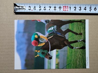 競馬 絵はがき JRA 2000年有馬記念出走馬ポストカード ゴーイングスズカ (福島記念 芹沢純一拍卖