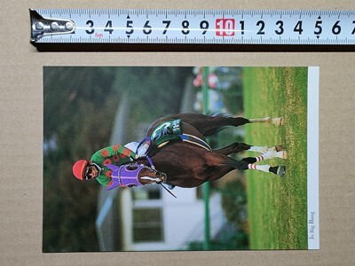 競馬 絵はがき JRA 2000年有馬記念出走馬ポストカード ジョービッグバン (中山金杯 山田和広拍卖