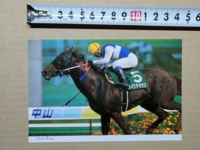 競馬 絵はがき JRA 2000年有馬記念出走馬ポストカード ダイワテキサス (新潟記念 北村宏司拍卖