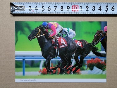 競馬 絵はがき JRA 2000年有馬記念出走馬ポストカード ツルマルツヨシ (京都大賞典 テイエムオペラオー顔だけ拍卖