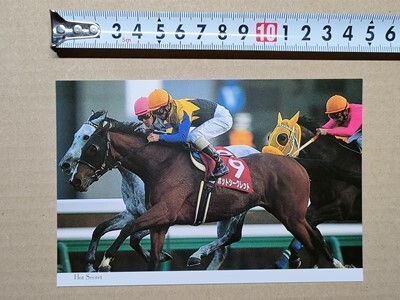 競馬 絵はがき JRA 2000年有馬記念出走馬ポストカード ホットシークレット (ステイヤーズS 横に福永祐一 後ろサンエムエックス横山典弘拍卖