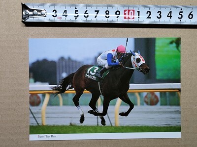 競馬 絵はがき JRA 2000年有馬記念出走馬ポストカード ユーセイトップラン (ダイヤモンドS 後藤浩輝拍卖