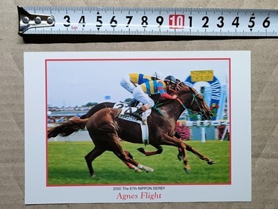 競馬 絵はがき 非売品ポストカード JRA アグネスフライト 日本ダービー ゴール板前拍卖