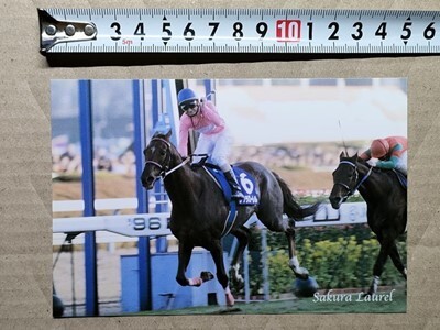 競馬 絵はがき 非売品ポストカード JRA サクラローレル 横山典弘 有馬記念・1996年(後ろマイネルブリッジ)拍卖