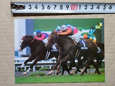 競馬 絵はがき 非売品ポストカード JRA テイエムオペラオー 第41回宝塚記念・2000年(内メイショウドトウ)拍卖