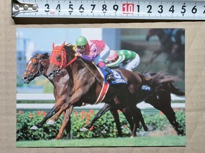 競馬 絵はがき 非売品ポストカード JRA マーベラスサンデー 武豊 宝塚記念・1997年拍卖